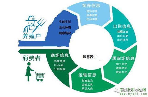 智慧農(nóng)業(yè)新篇章 物聯(lián)網(wǎng)智慧養(yǎng)牛系統(tǒng)的軟件開發(fā)與應(yīng)用